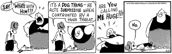 May 27 1997, Daily Comic Strip