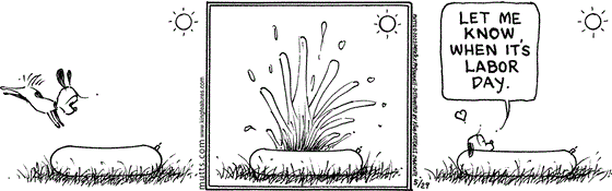 In this MUTTS strip, Earl dives into his kiddie pool with a splash. Contentedly lounging in the water, he says, "Let me know when it's labor day." 
