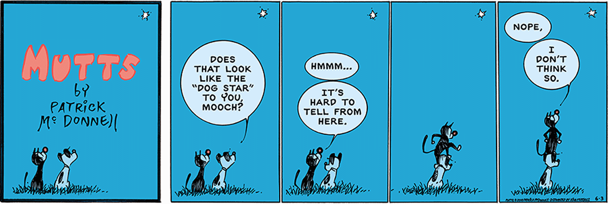 June 3 2018, Sunday Comic Strip – MUTTS
