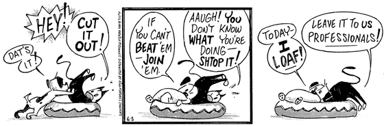June 5 1997, Daily Comic Strip