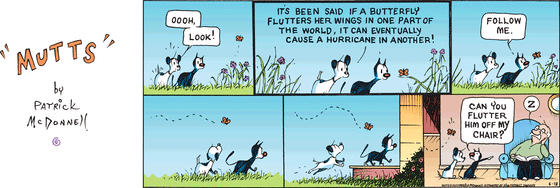 In this colorful MUTTS comic, Mooch and Earl spot a butterfly. Earl says, "Oooh...look! It's been said that if a butterfly flutters her wings in one part of the world, it can eventually cause a hurricane in another!" Mooch says to the butterfly, "Follow me."  Mooch leads Earl and the butterfly into the house, where Frank naps in his armchair. Earl asks the butterfly, "Can you flutter him off my chair?"