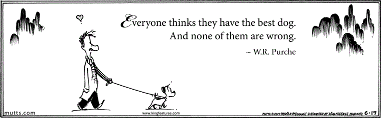 June 19 2017, Daily Comic Strip – MUTTS