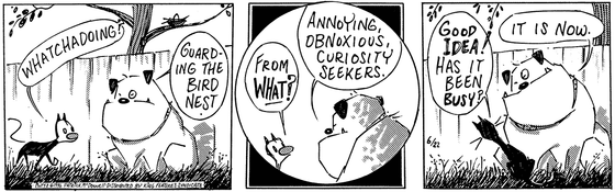 June 22 1996, Daily Comic Strip