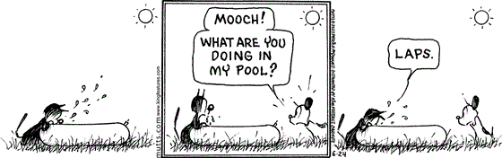 June 24 2023, Daily Comic Strip: In this MUTTS comic, Earl finds Mooch drinking out of his kiddie pool and says, "Mooch! What are you doing in my pool?" Mooch replies, "Laps." and continues drinking. 