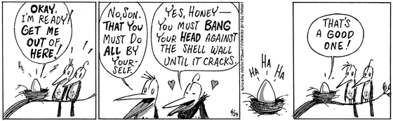 June 24 1996, Daily Comic Strip