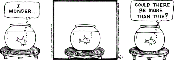 June 27 2023, Daily Comic Strip: In this MUTTS strip, Sid is swimming in his fishbowl and ponders to himself, "I wonder ... could there be more than this?" 