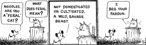 June 29 2023, Daily Comic Strip: In this MUTTS strip, Earl approaches Noodles who is in a trash can, and asks, "Noodles, are you a 'feral' cat?" Noodles asks, "What does feral mean?" and Earl replies, "Not domesticated or cultivated, a wild, savage beast." Noodles says, "I beg your pardon."  
