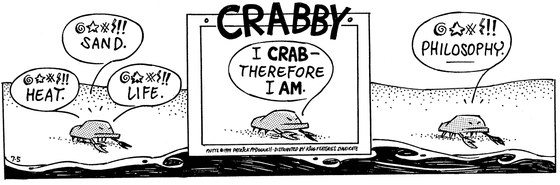 July 5 1999, Daily Comic Strip