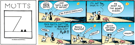 August 3 2003, Sunday Comic Strip