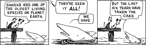 August 8 2023, Daily Comic Strip: In this MUTTS comic, Mooch and Earl are on a dock overlooking a shark in the ocean. Earl says, "Sharks are one of the oldest living species on planet Earth. They've seen it all!" The shark replies, "We have, but the last six years have taken the cake." 