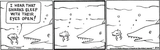 August 10 2023, Daily Comic Strip: In this MUTTS comic, Crabby tells a shark, "I hear that sharks sleep with their eyes open!" The shark doesn't respond and Crabby realizes it's asleep. 