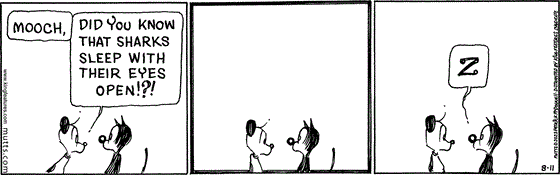 August 11 2023, Daily Comic Strip: In this MUTTS comic strip, Earl says, "Mooch, did you know that sharks sleep with their eyes open!?!" He looks at Mooch who is unresponsive, but still has his eyes open, when Mooch lets out a "Z". 