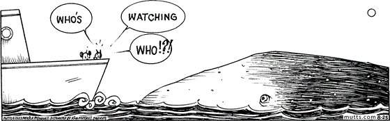 August 25 2023, Daily Comic Strip: In this MUTTS strip, Mooch and Earl are on a whale watching boat, staring out at a huge whale. Mooch ponders, "Who's watching who!?!"