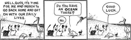 August 30 2023, Daily Comic Strip: In this MUTTS comic, Earl tells Crabby, Mussels, and McGarry, "Well, guys, it's time for me and Mooch to go back home and get on with our daily lives." Crabby asks, "Do you have an ocean there?" Mooch responds, "No." and Crabby quips, "Good luck." 