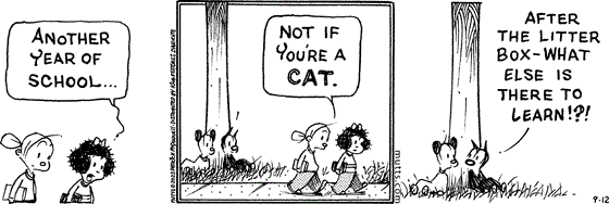 September 12 2023, Daily Comic Strip: In this MUTTS comic, Doozy and her friend pass by Mooch and Earl on the sidewalk. The friend says, "Another year of school ..." Doozy replies, "Not if you're a cat." Mooch tells Earl, "After the litter box - what else is there to learn!?!" 