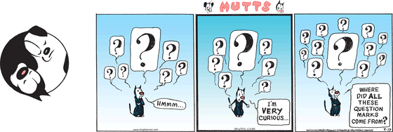 September 17 2023, Sunday Comic Strip: In this colorful MUTTS strip, Mooch has a number of question marks hovering above him. He ponders, "Hmmm ... I'm very curious ... where did all these question marks come from?" 