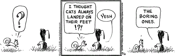 September 18 2023, Daily Comic Strip: In this MUTTS comic, a squirrel quizzically approaches an upside-down Mooch. He says, "I thought cats always landed on their feet!?!" Mooch replies, "Yesh, the boring ones." 