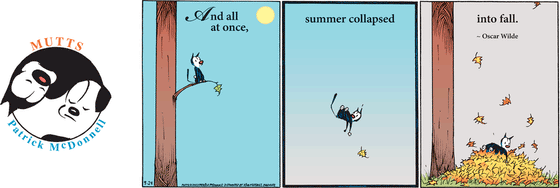 September 24 2023, Sunday Comic Strip: In this colorful MUTTS comic, Mooch falls from a tree branch into a lush pile of leaves. Above him, a quote from Oscar Wilde reads, "And all at once, summer collapsed into fall." 