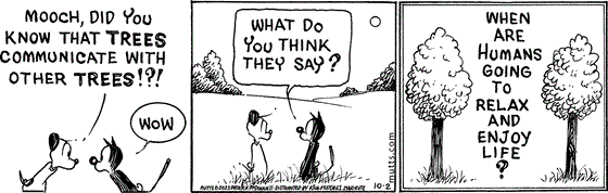 October 2 2023, Daily Comic Strip: In this MUTTS comic, Earl asks, "Mooch, did you know that trees communicate with other trees!?!" Mooch replies, "Wow. What do you think they say?" One tree asks another, "When are humans going to relax and enjoy life?" 