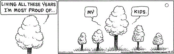 October 6 2023, Daily Comic Strip: In this MUTTS comic, a tree says, "Living all these years I'm most proud of ..." as smaller trees appear by its side, the initial tree continues, "... my kids." 