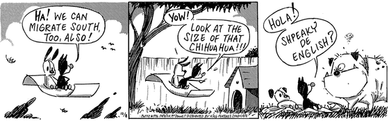 October 8 1996, Daily Comic Strip