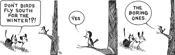 October 9 2023, Daily Comic Strip: In this MUTTS strip, Mooch and Earl see Philippe sitting on a branch. Mooch asks, "Don't birds fly South for the winter!?!" Philippe answers, "Yes, the boring ones." 