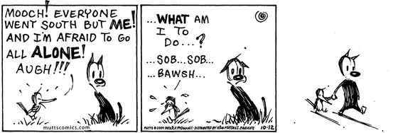 October 12 2004, Daily Comic Strip