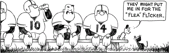 October 14 2023, Daily Comic Strip: In this MUTTS comic, Earl is sitting on the bench with football players. He tells Mooch, "They might put me in for the 'flea' flicker." 