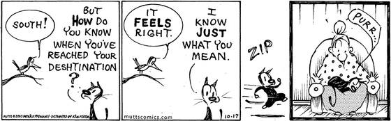 October 17 2003, Daily Comic Strip