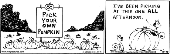 October 18 2005, Daily Comic Strip