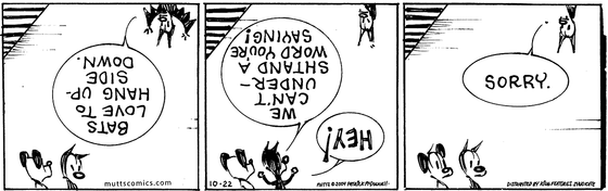 October 22 2004, Daily Comic Strip