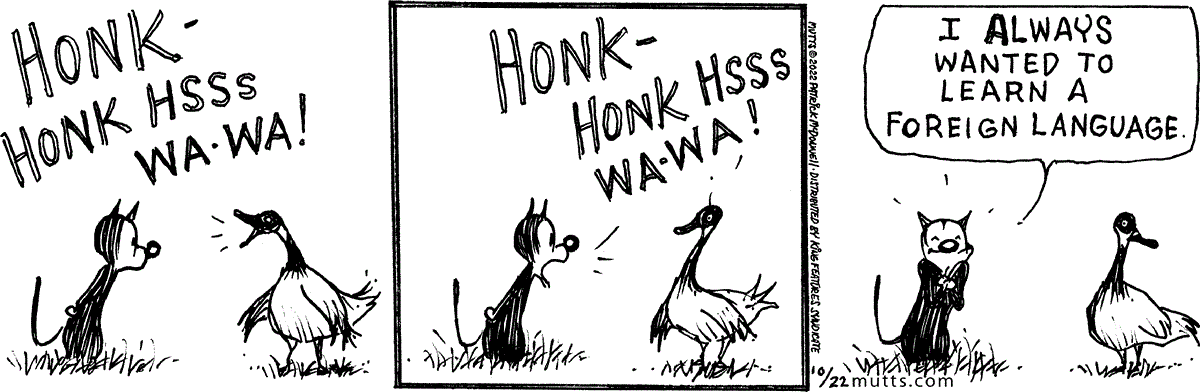 October 22 2022, Daily Comic Strip – MUTTS