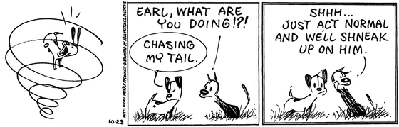 October 23 2001, Daily Comic Strip
