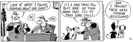 October 24 1996, Daily Comic Strip