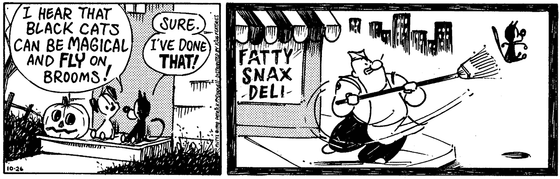 October 26 1998, Daily Comic Strip