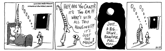 October 29 1994, Daily Comic Strip