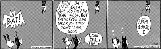 October 31 1995, Daily Comic Strip
