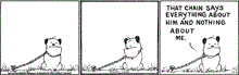  November 1 2023, Daily Comic Strip: In this MUTTS strip, Guard Dog looks at his chain, then looks up and says, "That chain says everything about him and nothing about me." 