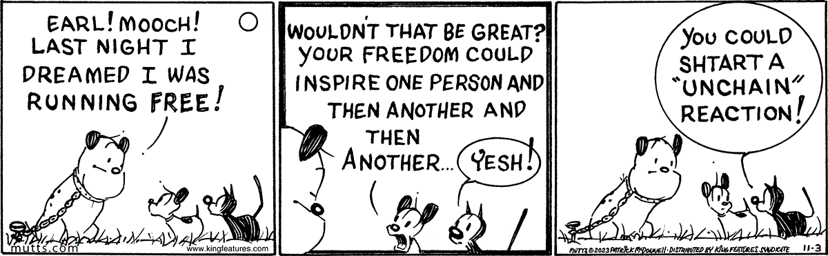 November 3 2023, Daily Comic Strip: In this MUTTS strip, Guard Dog tells the pair, 