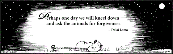 November 4 2023, Daily Comic Strip: In this MUTTS comic, Guard Dog is resting under the night sky, attached to a chain. Above him a quote from the Dalai Lama reads, "Perhaps one day we will kneel down and ask the animals for forgiveness."