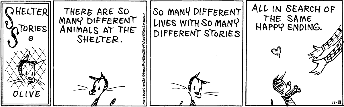 November 8 2002, Daily Comic Strip