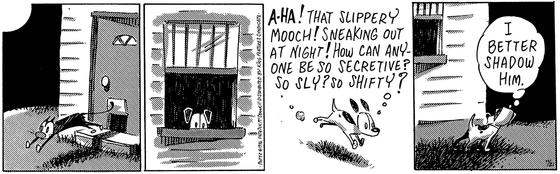 November 21 1996, Daily Comic Strip