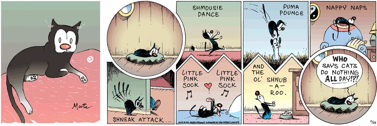 November 25 2001, Sunday Comic Strip