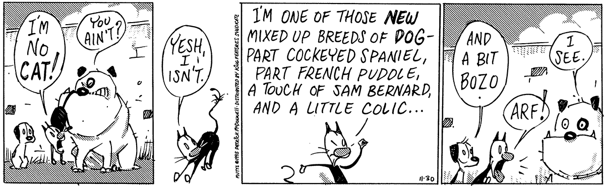 November 30 1995, Daily Comic Strip – MUTTS