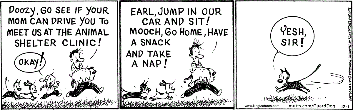 December 1 2023, Daily Comic Strip – MUTTS