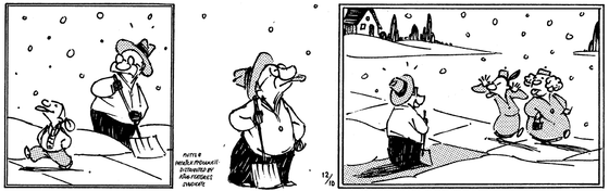 December 10 1998, Daily Comic Strip