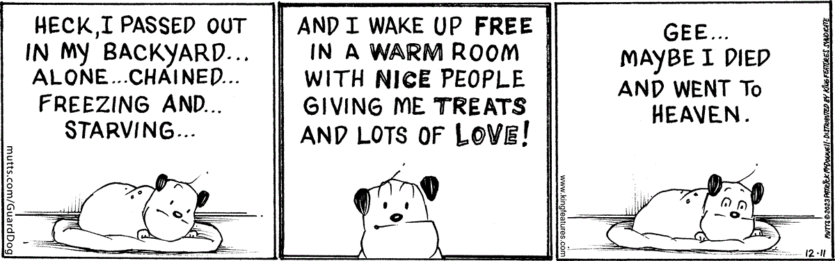 December 11 2023, Daily Comic Strip – MUTTS