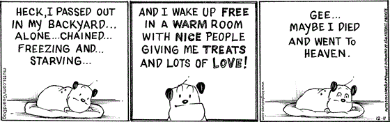 In this MUTTS comic strip, Guard Dog wakes up at the vet lying on a comfy bed free from his chains. He wonders if maybe he died and went to heaven because of all the love and treats he's been given. 