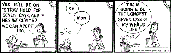 In this MUTTS comic strip, Doozy and her mom talk about Guard Dog and how he's on a "stray hold" for seven days. After that seven days, though, Doozy gets to finally adopt Guard Dog.