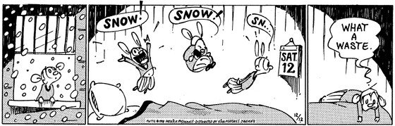 December 12 1998, Daily Comic Strip
